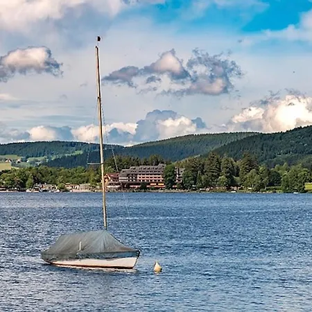 Apartment Seestrasse Titisee-Neustadt